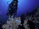 Divemaster-Sai