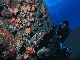 Ennerdale Wreck
