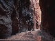 Pariah canyon