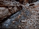 Canab Creek, AZ